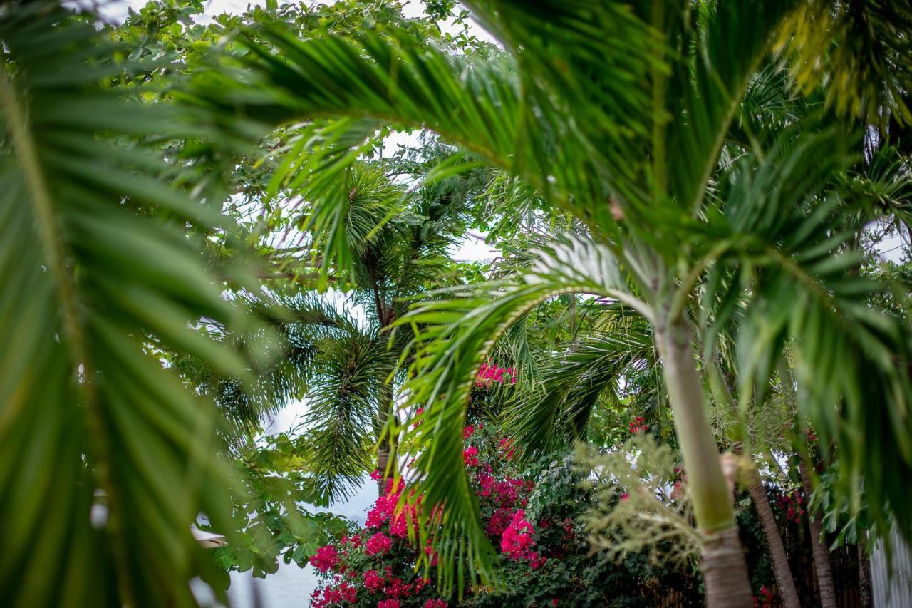 Soul Villas - Beachfront Private Pool Villas, Phuket Nature Retreat Cape Panwa Exterior photo